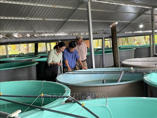 Các đơn vị tham quan quy trình sản xuất cá chình giống. Ảnh: Hồng Nhung - TTXVN