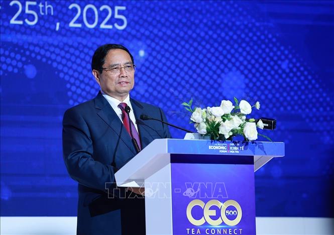 Prime Minister Pham Minh Chinh delivers a speech at the programme. VNA Photo: Dương Giang