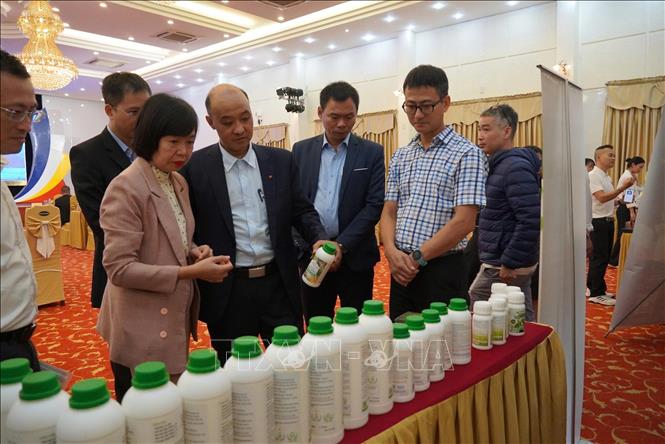 Các đại biểu tham quan không gian trưng bày sản phẩm tại Hội nghị. Ảnh: Khoa Chương - TTXVN