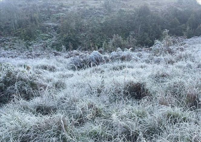 Băng tuyết phủ trắng núi rừng, ruộng đồng Y Tý, tỉnh Lào Cai. Ảnh: TTXVN phát