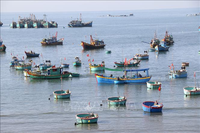 Vẻ đẹp làng chài Mũi Né nằm trong quy hoạch Khu du lịch Quốc gia Mũi Né (Lâm Đồng). Ảnh: Nguyễn Thanh - TTXVN