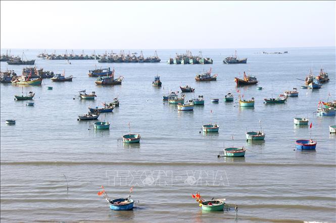 Vẻ đẹp làng chài Mũi Né nằm trong quy hoạch Khu du lịch Quốc gia Mũi Né (Lâm Đồng). Ảnh: Nguyễn Thanh - TTXVN