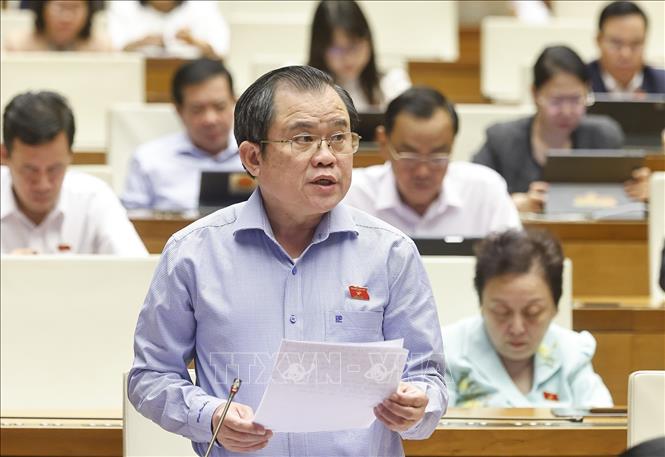 Đại biểu Quốc hội TP. Hồ Chí Minh Nguyễn Tâm Hùng phát biểu. Ảnh: Doãn Tấn - TTXVN