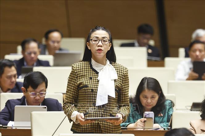 Đại biểu Quốc hội tỉnh Lâm Đồng Trịnh Thi Tú Anh phát biểu. Ảnh: Doãn Tấn - TTXVN