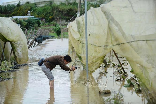 Phóng viên Nguyễn Dũng, CQTT Lâm Đồng tác nghiệp tại vùng lũ Đơn Dương. Ảnh: TTXVN