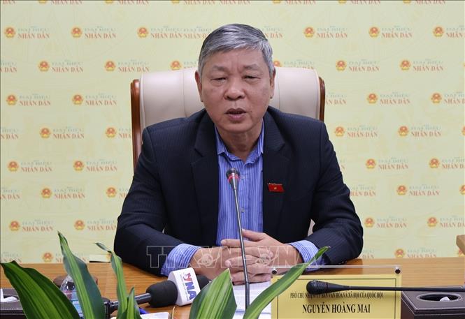  Ông Nguyễn Hoàng Mai, Phó Chủ nhiệm Ủy ban Văn hóa và Xã hội của Quốc hội phát biểu. Ảnh: Hạnh Quyên-TTXVN