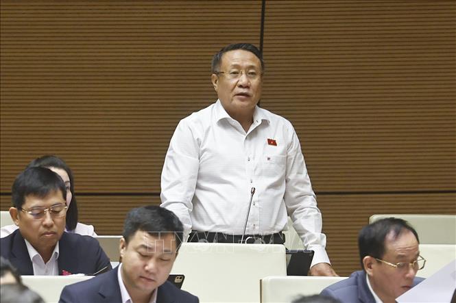 Đại biểu Quốc hội tỉnh Quảng Trị Hà Sỹ Đồng phát biểu. Ảnh: Doãn Tấn - TTXVN