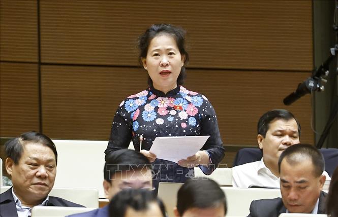 Đại biểu Quốc hội TP Cần Thơ Tô Ái Vang phát biểu. Ảnh: Doãn Tấn - TTXVN