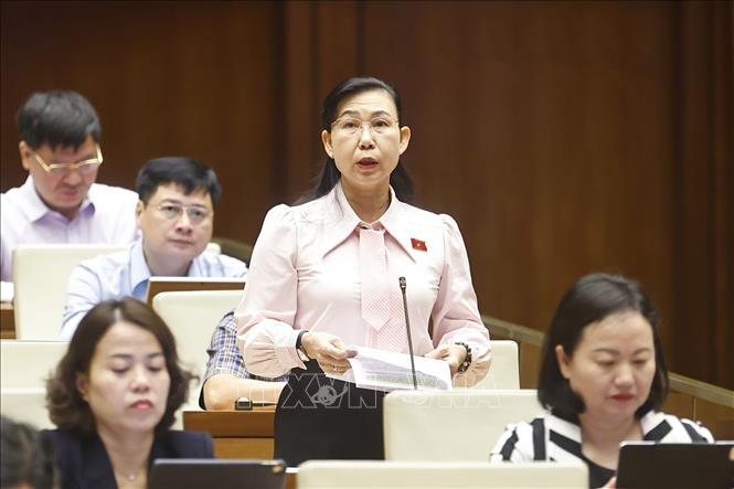 Đại biểu Quốc hội tỉnh Tây Ninh Phan Thị Mỹ Dung phát biểu. Ảnh: Doãn Tấn - TTXVN