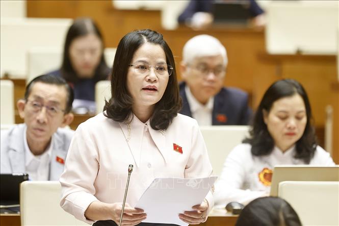 Đại biểu Quốc hội TP Hồ Chí Minh Nguyễn Hoàng Bảo Trân phát biểu. Ảnh: Doãn Tấn - TTXVN