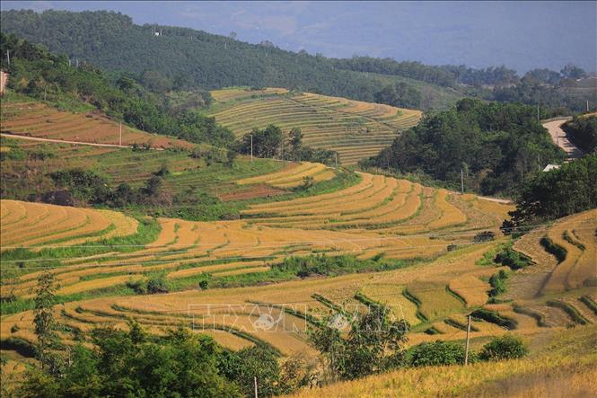 Mien Doi terraced fields spread over hillsides in Thuong Coc commune VNA Photo: Trọng Đạt