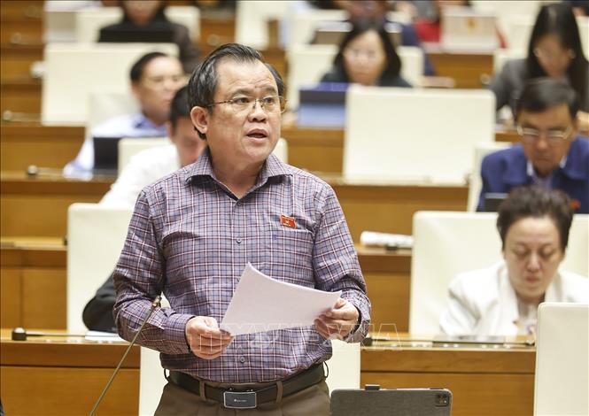 Đại biểu Quốc hội TP Hồ Chí Minh Nguyễn Tâm Hùng phát biểu. Ảnh: Doãn Tấn - TTXVN