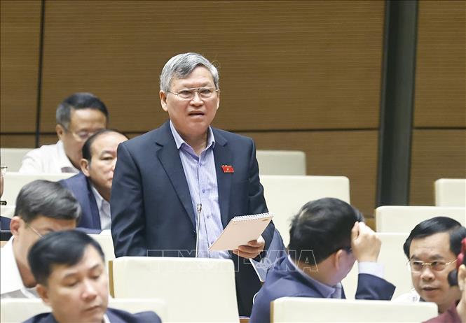 Đại biểu Quốc hội tỉnh Quảng Ngãi Tô Văn Tám phát biểu. Ảnh: Doãn Tấn - TTXVN