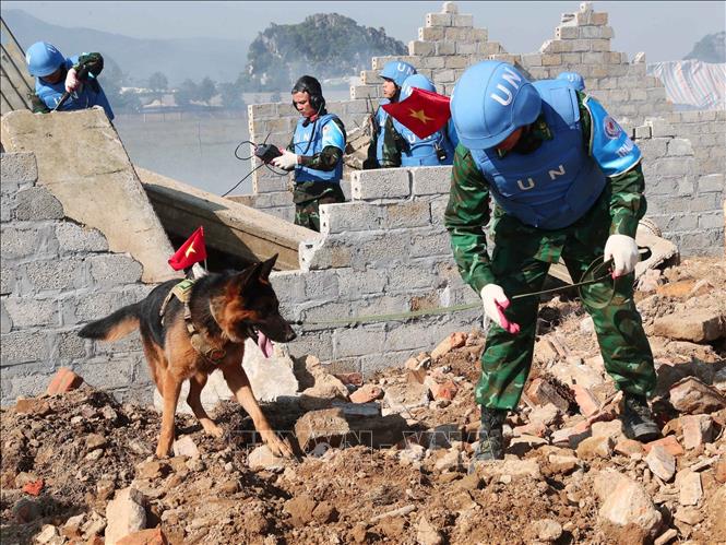 Tình huống diễn tập chó nghiệp vụ của Bộ đội Biên phòng tìm kiếm nạn nhân trong vụ động đất, sập đổ công trình  Ảnh: Trọng Đức - TTXVN