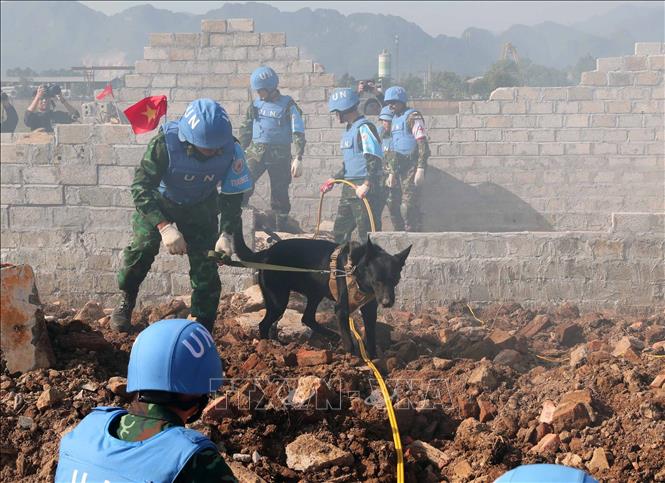 Chó nghiệp vụ của Bộ đội Biên phòng tìm kiếm nạn nhân trong vụ động đất, sập đổ công trình.  Ảnh: Trọng Đức - TTXVN