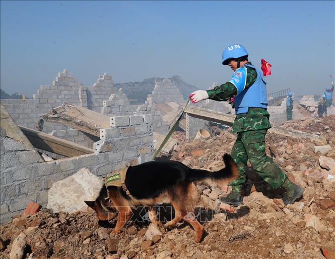 Tình huống diễn tập chó nghiệp vụ của Bộ đội Biên phòng tìm kiếm nạn nhân trong vụ động đất, sập đổ công trình. Ảnh: Trọng Đức - TTXVN