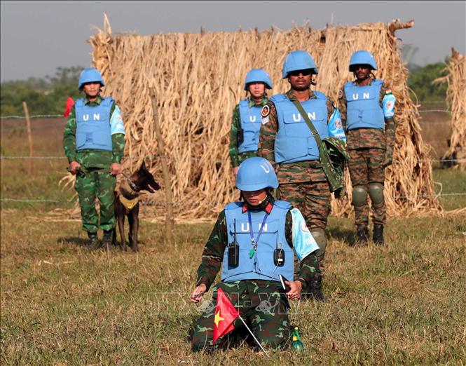Đội công binh thực hành ra phá bom mìn, vật liệu nổ, cứu thương. Ảnh: Trọng Đức - TTXVN