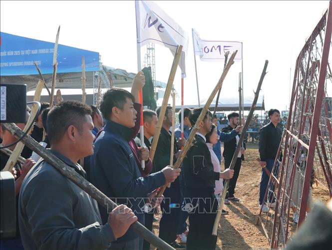 Đám đông biểu bình cáo buộc nhân viên Liên hợp quốc xâm hại tình dục. Ảnh: Trọng Đức - TTXVN