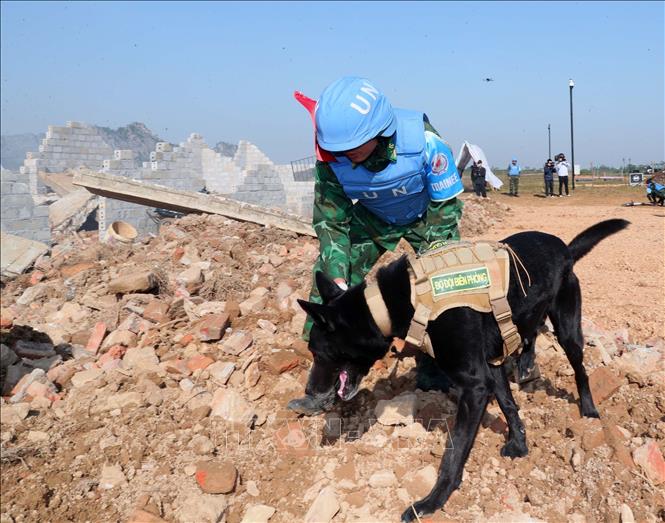 Tình huống diễn tập Chó nghiệp vụ của Bộ đội Biên phòng tìm kiếm nạn nhân trong vụ động đất, sập đổ công trình  Ảnh: Trọng Đức - TTXVN