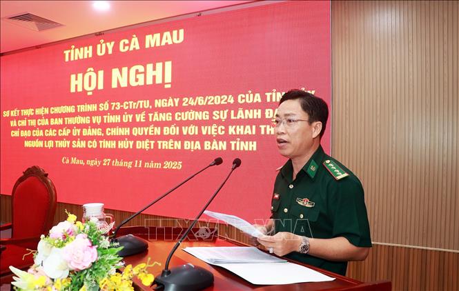Đại tá Phạm Minh Giang, Bí thư Đảng ủy, Chính ủy Bộ đội Biên phòng tỉnh Cà Mau, phát biểu tại Hội nghị. Ảnh: Huỳnh Anh - TTXVN