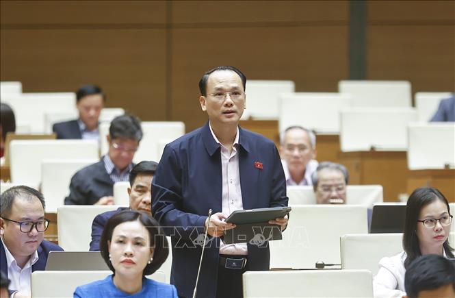 Đại biểu Quốc hội tỉnh Lạng Sơn Lưu Bá Mạc phát biểu. Ảnh: Doãn Tấn - TTXVN