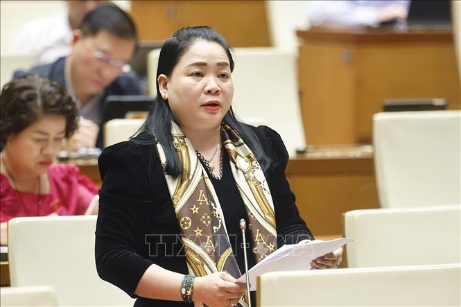 Đại biểu Quốc hội tỉnh Vĩnh Long Huỳnh Thị Hằng Nga phát biểu. Ảnh: Doãn Tấn - TTXVN