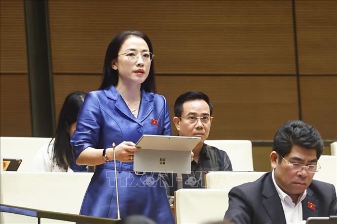 Đại biểu Quốc hội tỉnh Hưng Yên Trần Khánh Thu phát biểu. Ảnh: Doãn Tấn - TTXVN