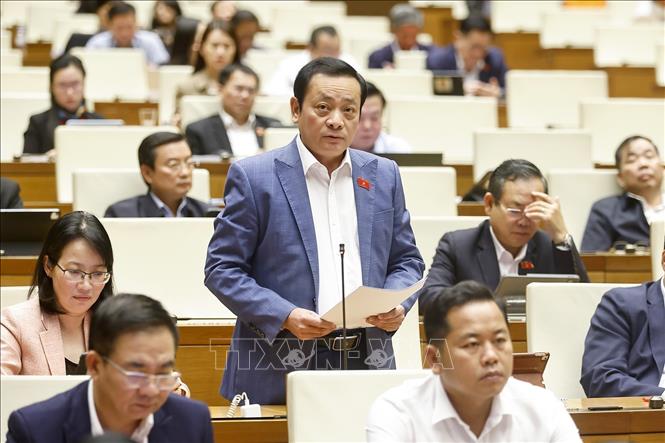 Đại biểu Quốc hội TP Hồ Chí Minh Lê Văn Khảm phát biểu. Ảnh: Doãn Tấn - TTXVN