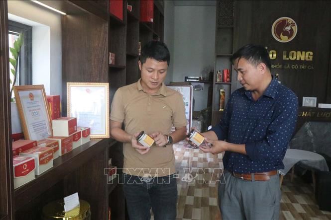 Sản phẩm bột nguyên chất của HTX Chăn nuôi Hươu – Gà Thảo dược Quỳnh Lưu được chứng nhận OCOP 3 sao. Ảnh: Trịnh Duy Hưng-TTXVN
