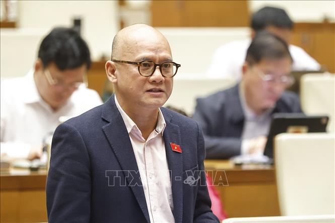 Đại biểu Quốc hội tỉnh Vĩnh Long Bế Trung Anh phát biểu. Ảnh: Doãn Tấn - TTXVN