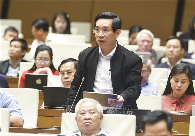 Đại biểu Quốc hội tỉnh Gia Lai Nguyễn Văn Cảnh phát biểu. Ảnh: Doãn Tấn - TTXVN