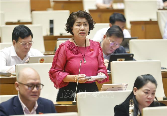 Đại biểu Quốc hội tỉnh Vĩnh Long Nguyễn Thị Lệ Thủy phát biểu. Ảnh: Doãn Tấn - TTXVN