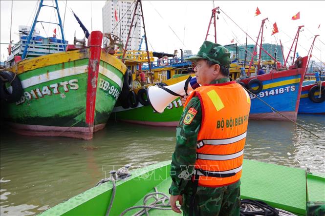 Bộ đội biên phòng Gia Lai kêu gọi tàu bè vào trú tránh bão số 15 ở khu neo đậu tàu thuyền Quy Nhơn. Ảnh: Sỹ Thắng-TTXVN