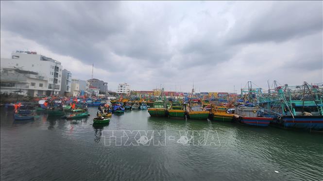 Tàu thuyền vào trú tránh bão số 15 tại Khu neo đậu ở cảng cá Quy Nhơn. Ảnh: Sỹ Thắng-TTXVN