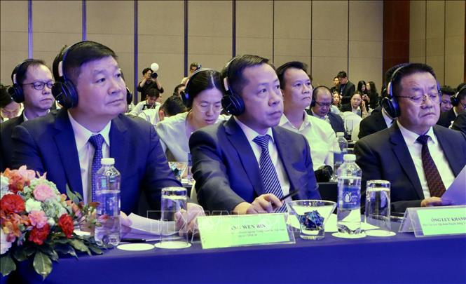 Các đại biểu tham dự hội thảo. Ảnh: Xuân Anh – TTXVN 