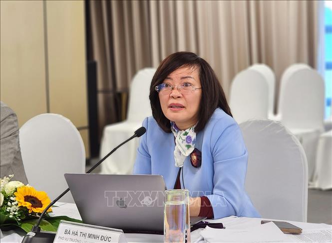 Bà Hà Thị Minh Đức, Phó Vụ trưởng Vụ Hợp tác quốc tế, Bộ Nội vụ phát biểu khai mạc Hội thảo. Ảnh: Chu Thanh Vân - TTXVN