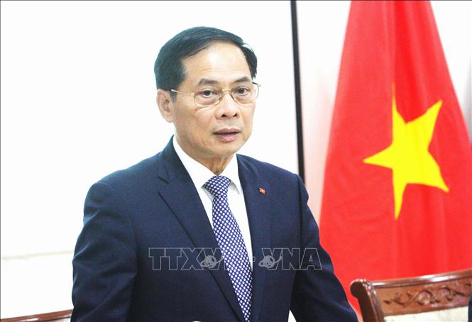 Phó Thủ tướng Chính phủ Bùi Thanh Sơn phát biểu tại buổi làm việc với cán bộ, nhân viên Đại sứ quán và cộng đồng người Việt Nam tại Vương quốc Campuchia. Ảnh: Hoàng Minh - PV TTXVN tại Campuchia 