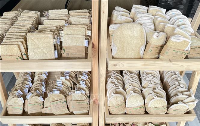 Kitchen cleaning products and bath sponges made from loofah fibres. VNA Photo: Hồng Nhung