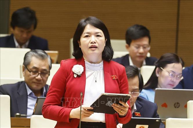 Đại biểu Quốc hội TP Hải Phòng Nguyễn Thị Mai Thoa phát biểu. Ảnh: Doãn Tấn - TTXVN