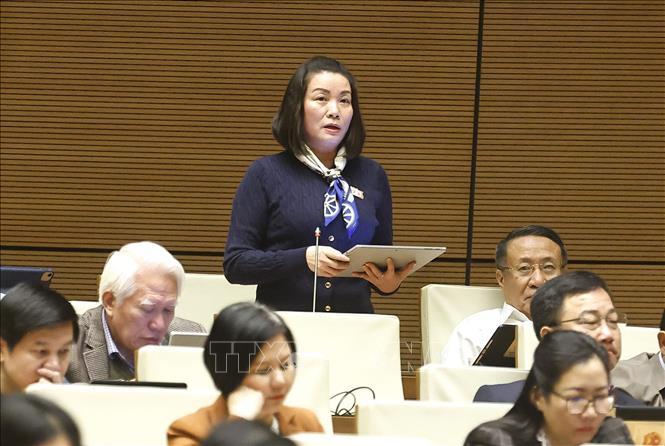 Đại biểu Quốc hội tỉnh Quảng Trị Nguyễn Minh Tâm phát biểu. Ảnh: Doãn Tấn - TTXVN