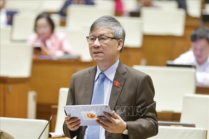 Đại biểu Quốc hội TP Hà Nội Nguyễn Anh Trí phát biểu. Ảnh: Doãn Tấn - TTXVN