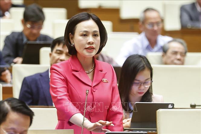 Đại biểu Quốc hội tỉnh Ninh Bình Trần Thị Hồng Thanh phát biểu. Ảnh: Doãn Tấn - TTXVN