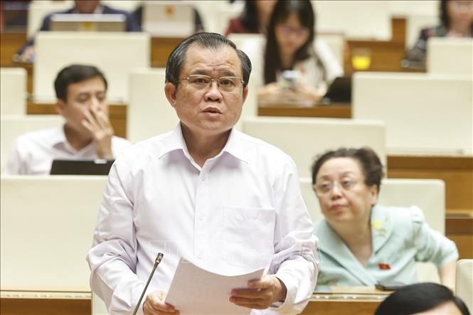 Đại biểu Quốc hội TP Hồ Chí Minh Nguyễn Tâm Hùng phát biểu. Ảnh: Doãn Tấn - TTXVN