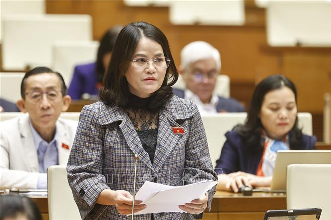 Đại biểu Quốc hội TP Hồ Chí Minh Nguyễn Hoàng Bảo Trân phát biểu. Ảnh: Doãn Tấn - TTXVN