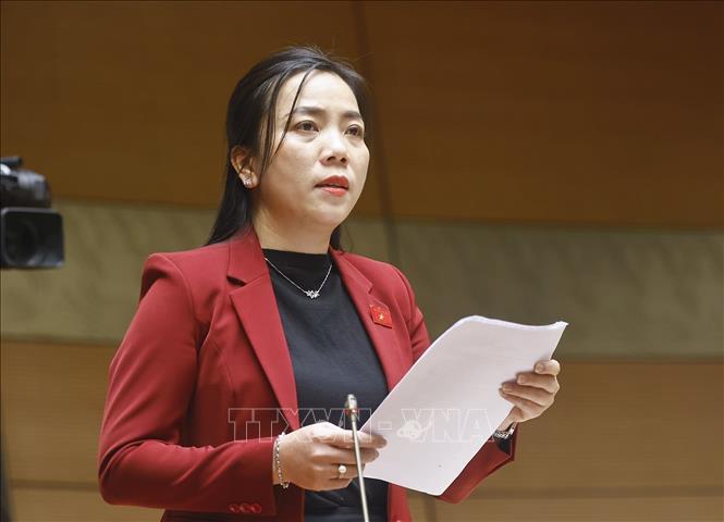 Đại biểu Quốc hội TP Cần Thơ Triệu Thị Ngọc Diễm phát biểu. Ảnh: Doãn Tấn - TTXVN