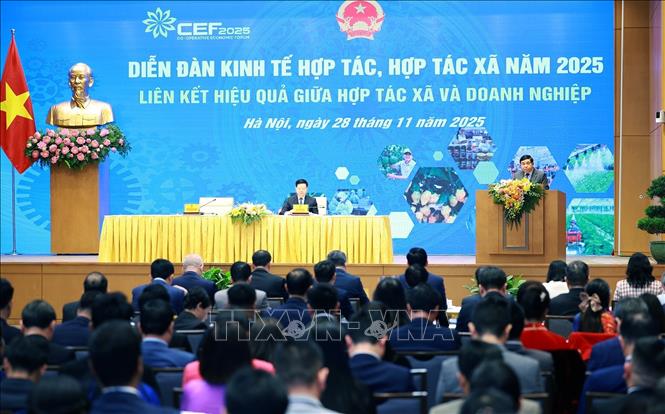 Phó Thủ tướng Nguyễn Chí Dũng khai mạc Diễn đàn kinh tế hợp tác, hợp tác xã năm 2025. Ảnh: Dương Giang-TTXVN
