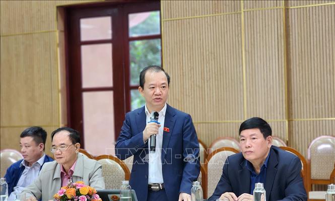 Phó Giáo sư, Tiến sĩ Bùi Hoài Sơn - Ủy viên chuyên trách Ủy ban Văn hóa và Xã hội của Quốc hội phát biểu tại Hội nghị. Ảnh: Chu Thanh Vân - TTXVN