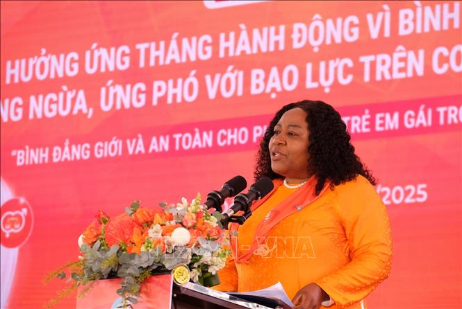 Caroline Nyamayemombe, UN Women’s Country Representative in Vietnam, speaks at the meeting. VNA Photo: Nguyễn Dũng