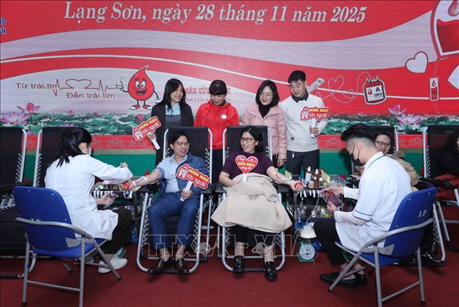 Các tình nguyện viên tham gia hiến máu tại Ngày hội. Ảnh: Anh Tuấn - TTXVN 