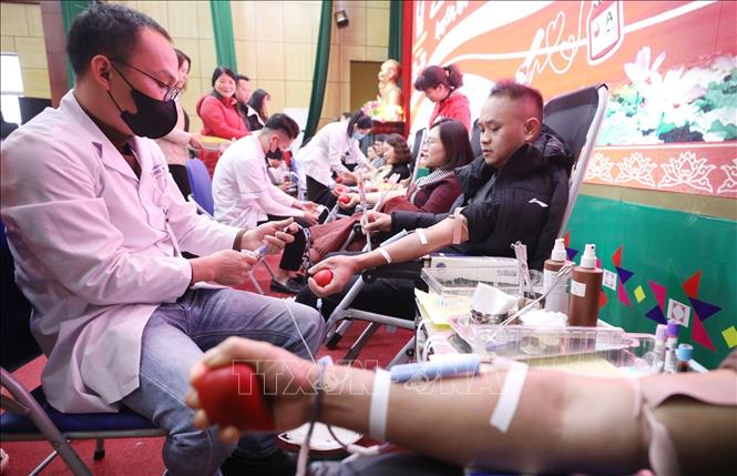 Các tình nguyện viên tham gia hiến máu tại Ngày hội. Ảnh: Anh Tuấn - TTXVN 